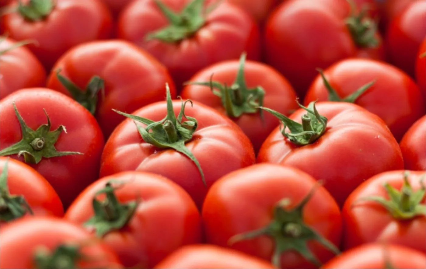 Tomato & Dressings